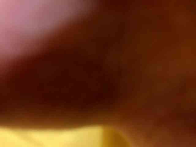 Syuri-sun webcam