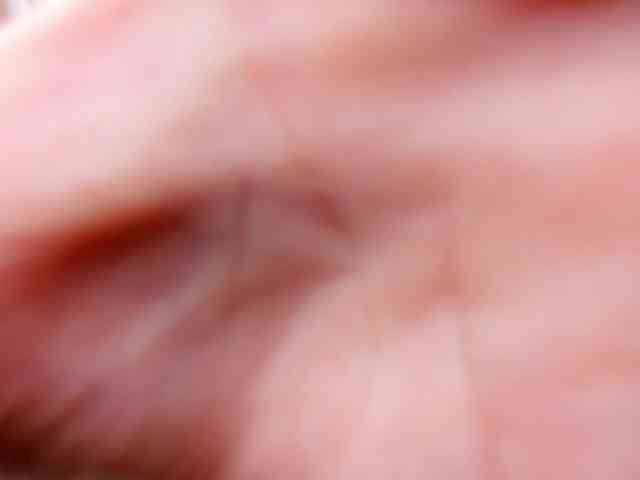 Syuri-sun webcam