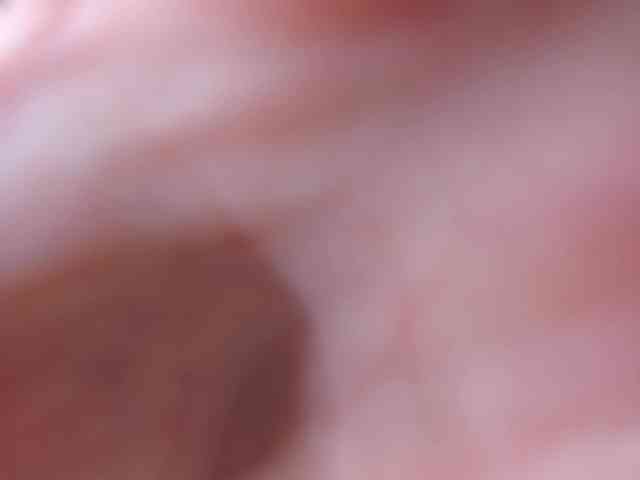 Syuri-sun webcam