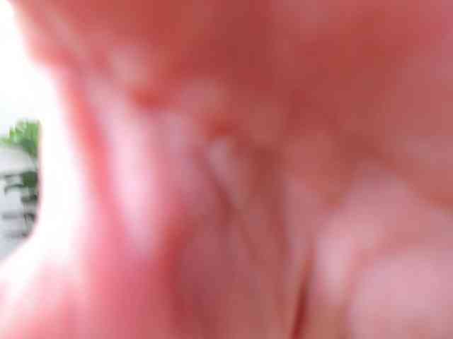 Syuri-sun webcam