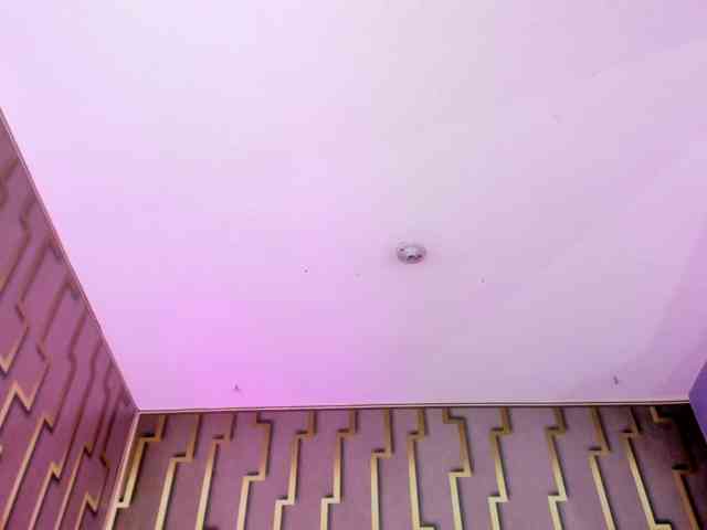 luna-maison webcam
