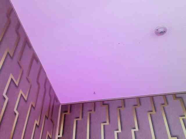 luna-maison webcam