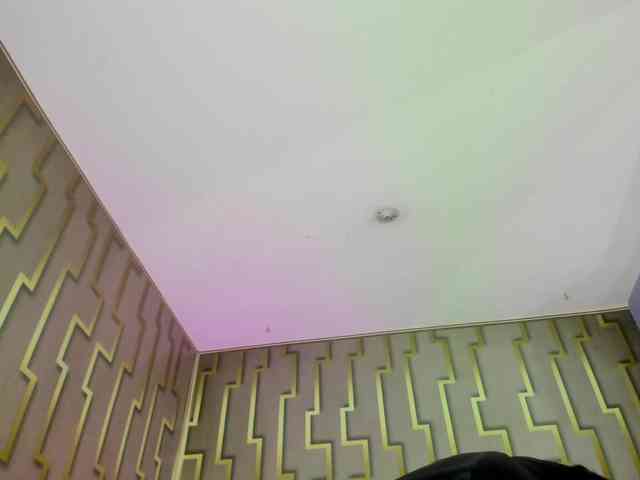 luna-maison webcam