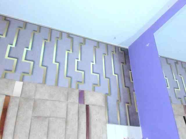 luna-maison webcam