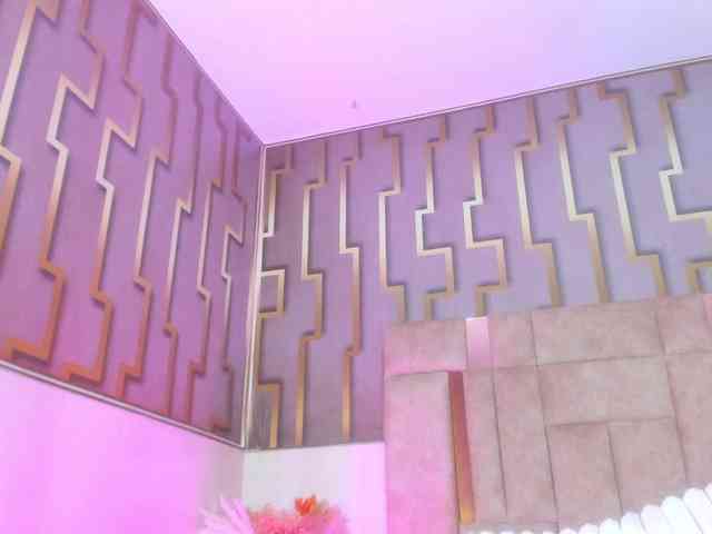 luna-maison webcam