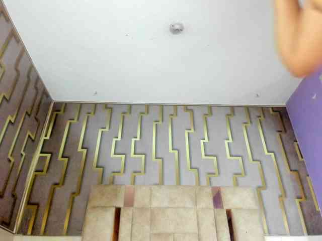 luna-maison webcam