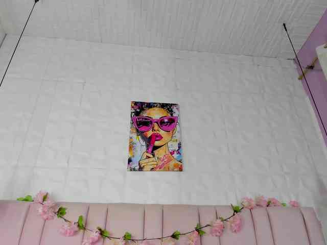 luna-maison webcam