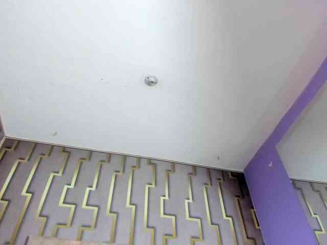 luna-maison webcam