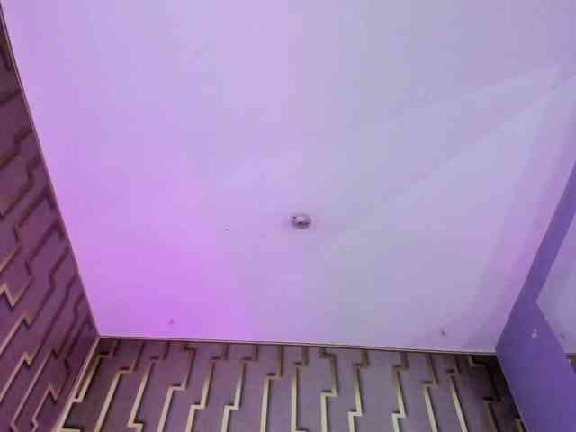 luna-maison webcam