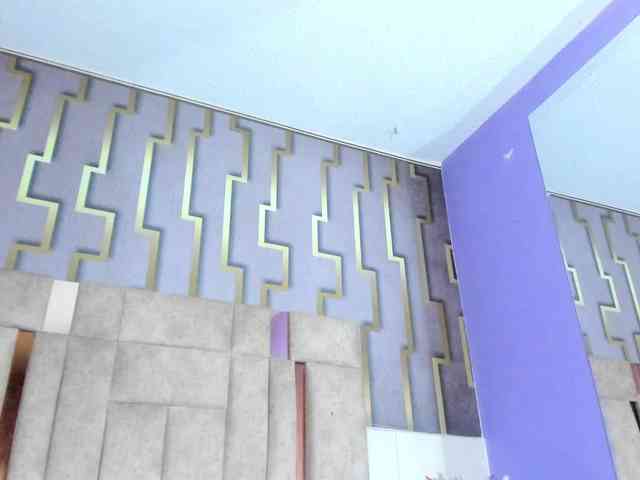 luna-maison webcam