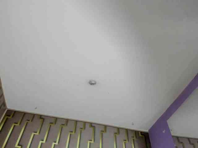 luna-maison webcam