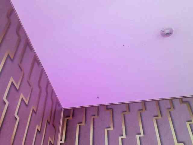 luna-maison webcam