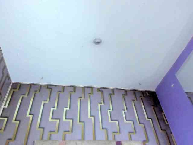 luna-maison webcam