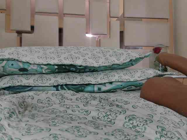 luna-maison webcam