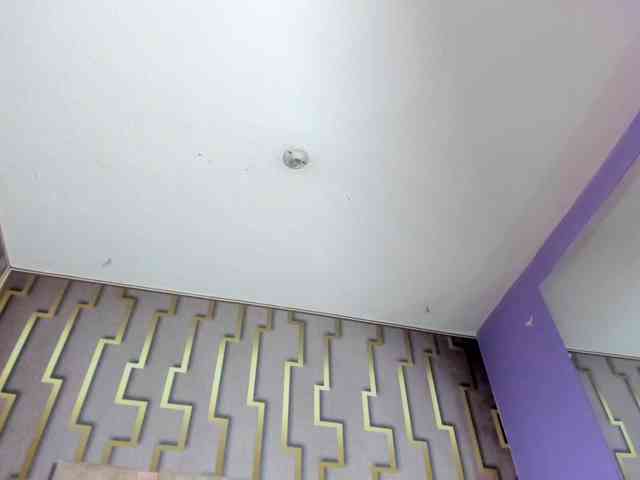 luna-maison webcam