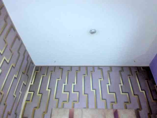 luna-maison webcam