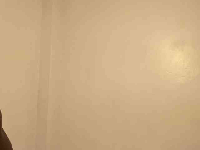 Lisareed3 webcam