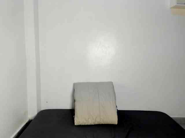Lisareed3 webcam
