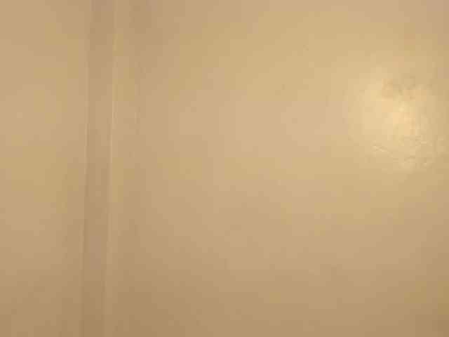 Lisareed3