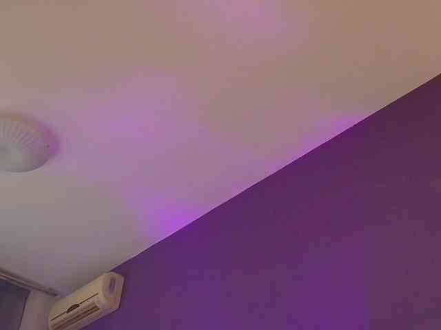 TouchMyTattoo webcam