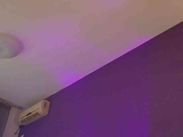 TouchMyTattoo webcam