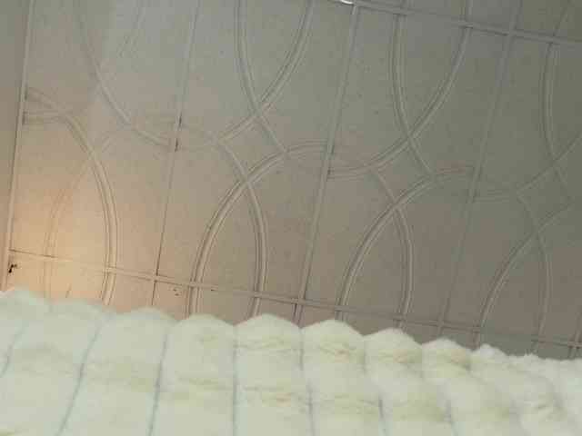 loretahorny25 webcam