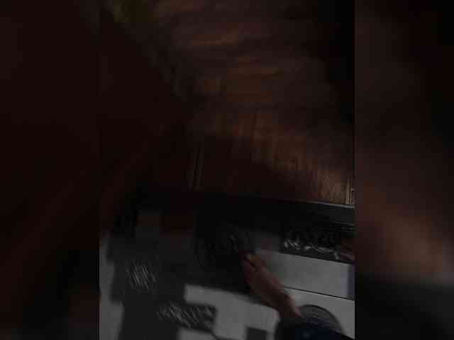 Para-11 webcam