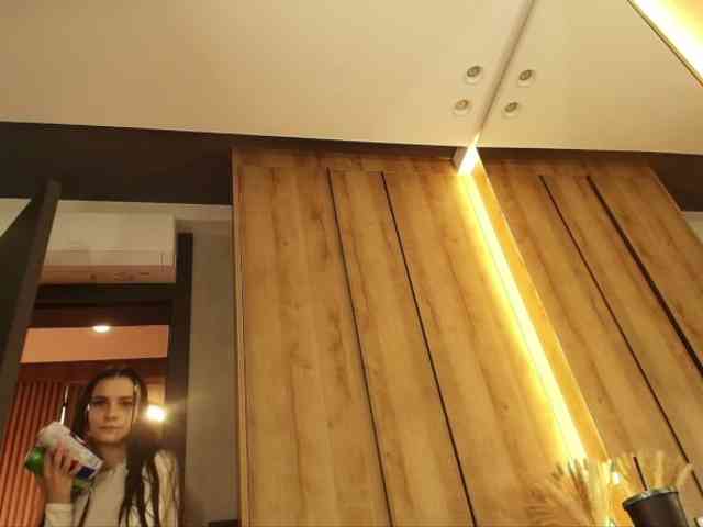 Bellafun webcam