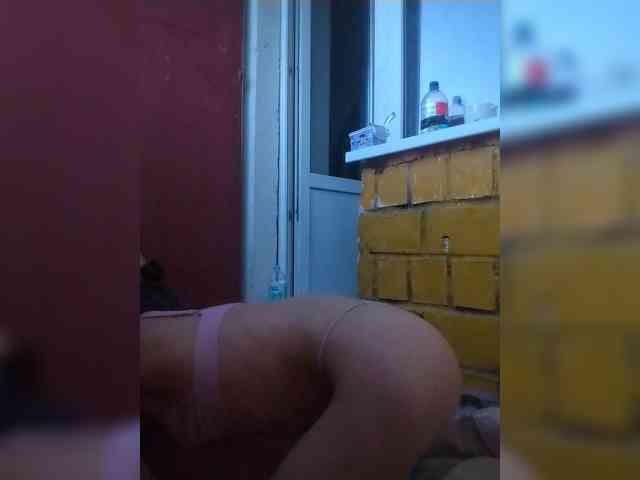 Serch1292