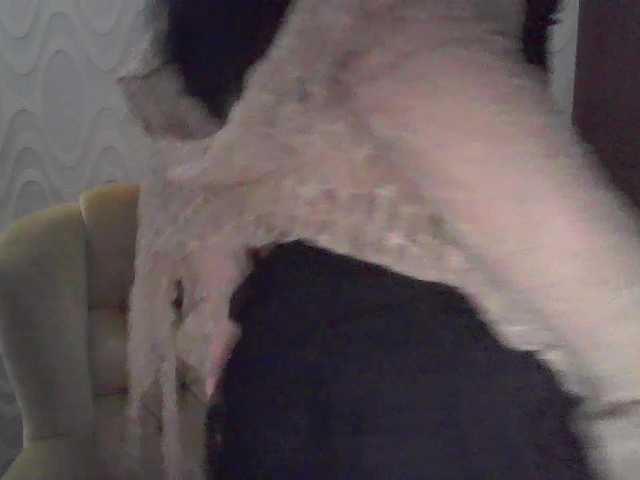 RileyCute live cam on BongaCams