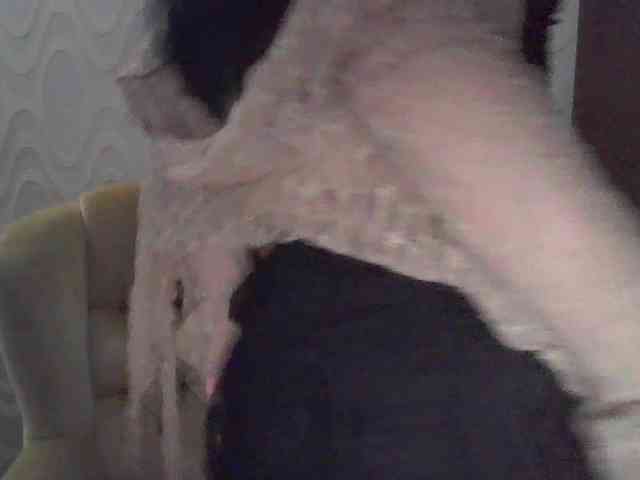 RileyCute webcam