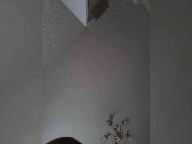 Lyilo991 webcam