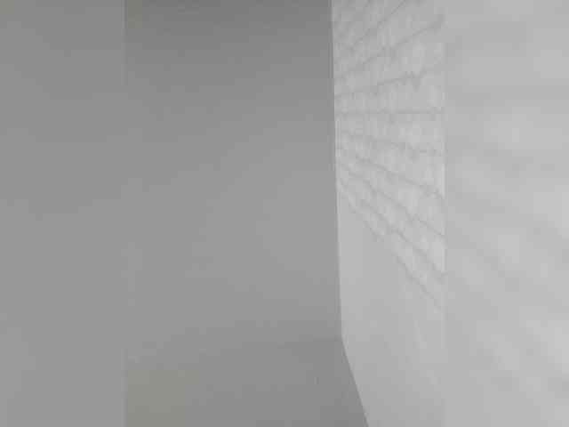 Lyilo991 webcam