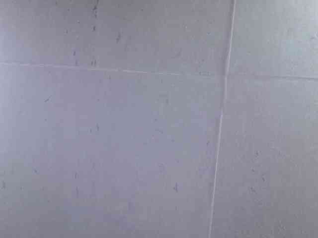 LucyLogde webcam