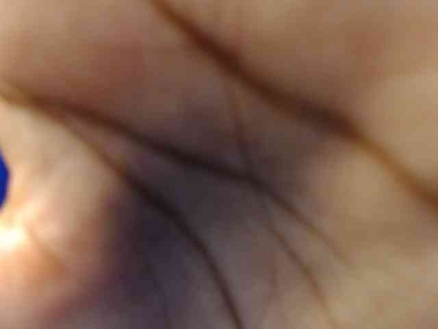 KittyKissess02 KittyKissess02
