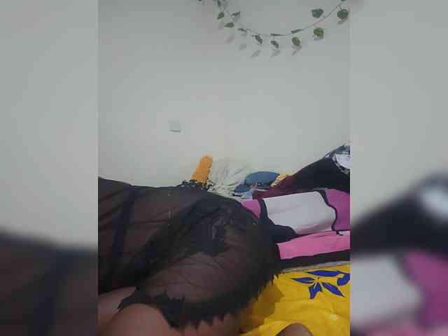 Dias-9 webcam
