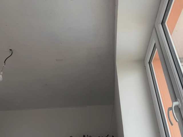EveliaShimaoka live cam on BongaCams