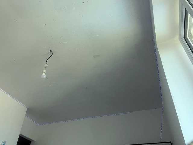 EveliaShimaoka live webcam show