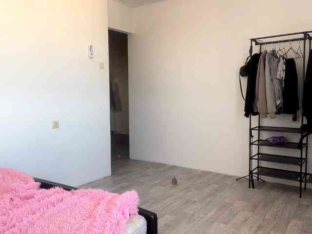 EveliaShimaoka webcam