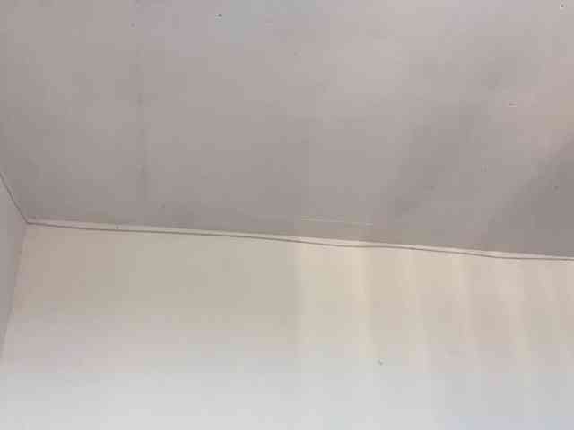 EveliaShimaoka webcam