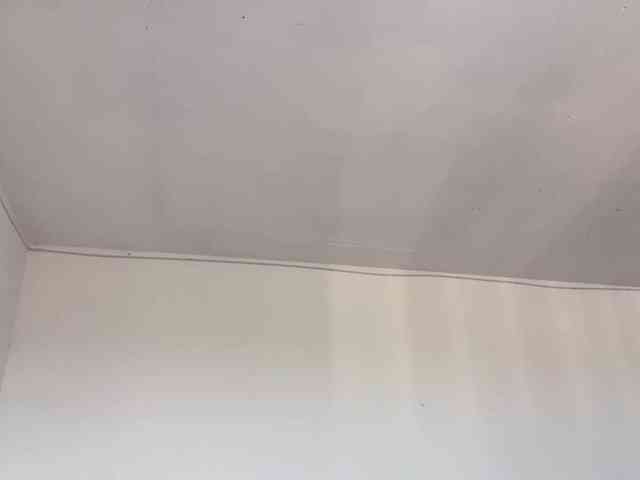 EveliaShimaoka webcam