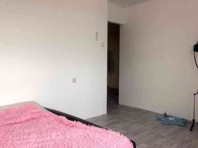 EveliaShimaoka webcam