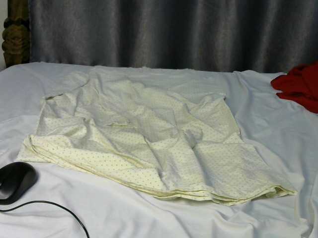 Little-queen live cam on BongaCams