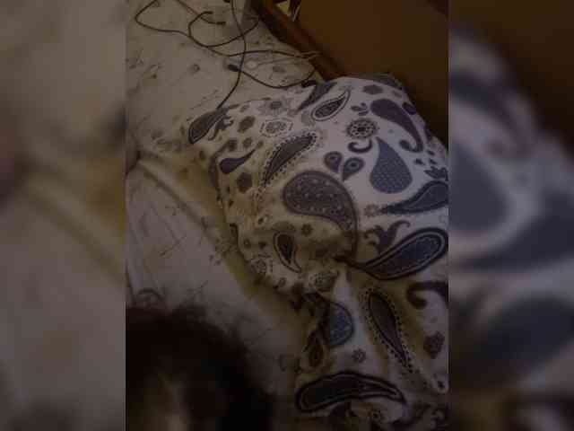 Fyflia webcam