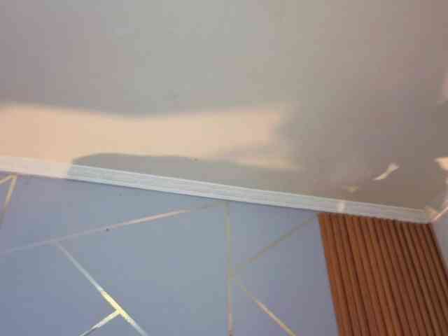 megaxn webcam