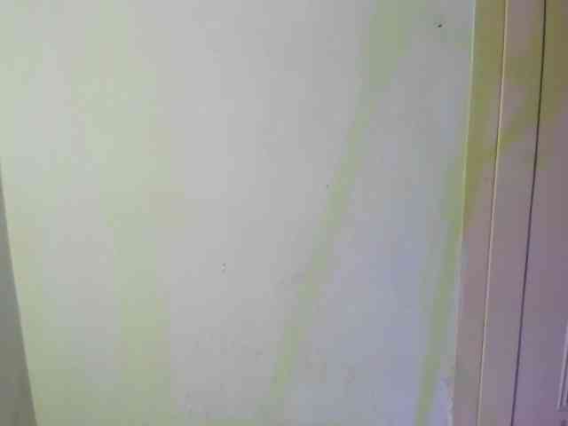 Sheetcouper webcam