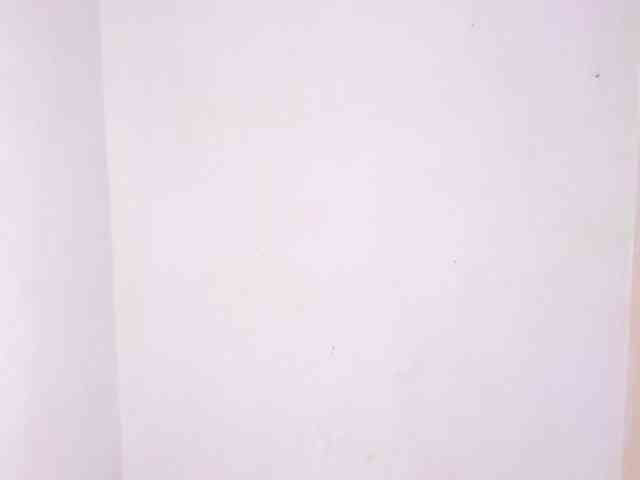 Sheetcouper webcam