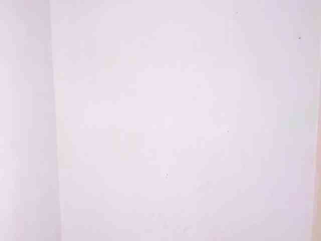 Sheetcouper webcam