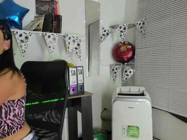 Sheetcouper webcam