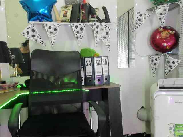 Sheetcouper webcam